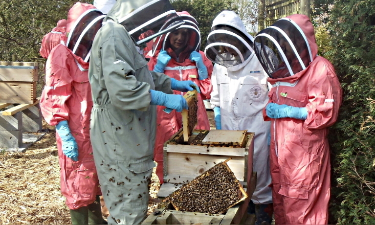 Joining the North Shropshire Beekeepers' Association