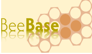 beebase
