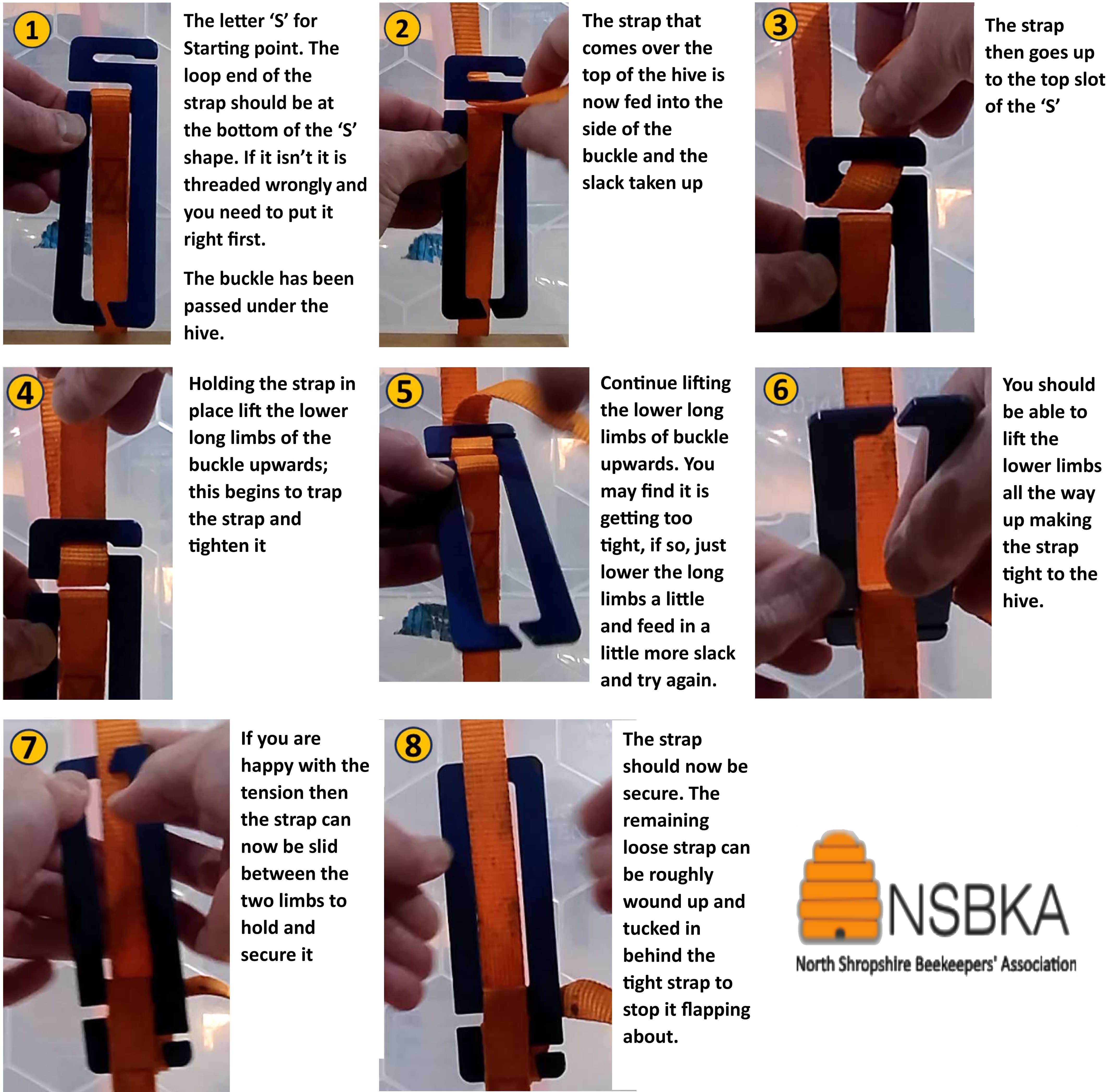 hive strap1